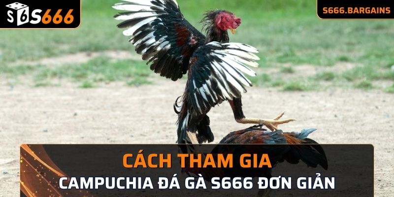 Cách tham gia Campuchia đá gà S666 đơn giản