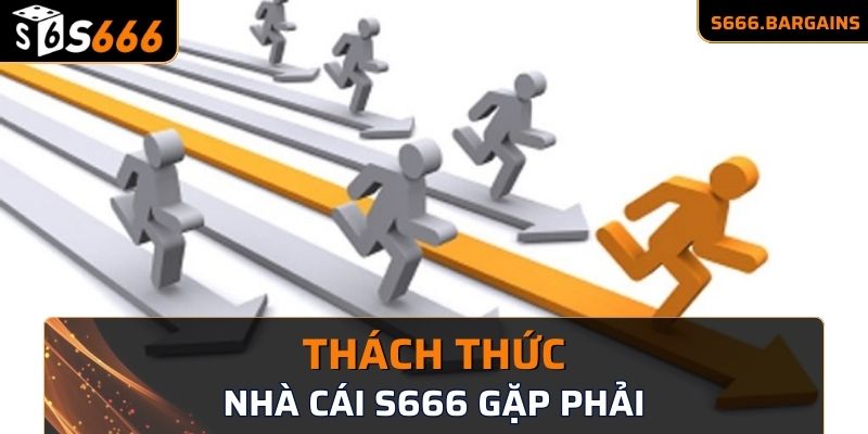 Những khó khăn ban đầu khi thành lập S666