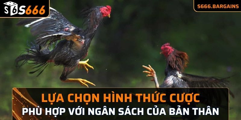 Lựa chọn hình thức cược phù hợp với ngân sách của bản thân