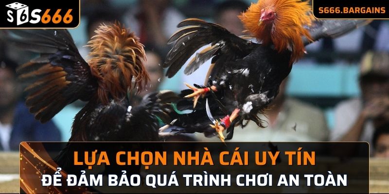 Lựa chọn nhà cái uy tín để đảm bảo quá trình chơi an toàn 