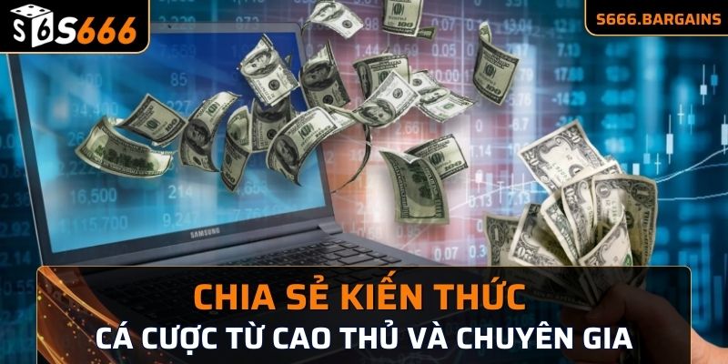 Chia sẻ kiến thức cá cược từ cao thủ và chuyên gia